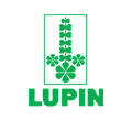 lupin